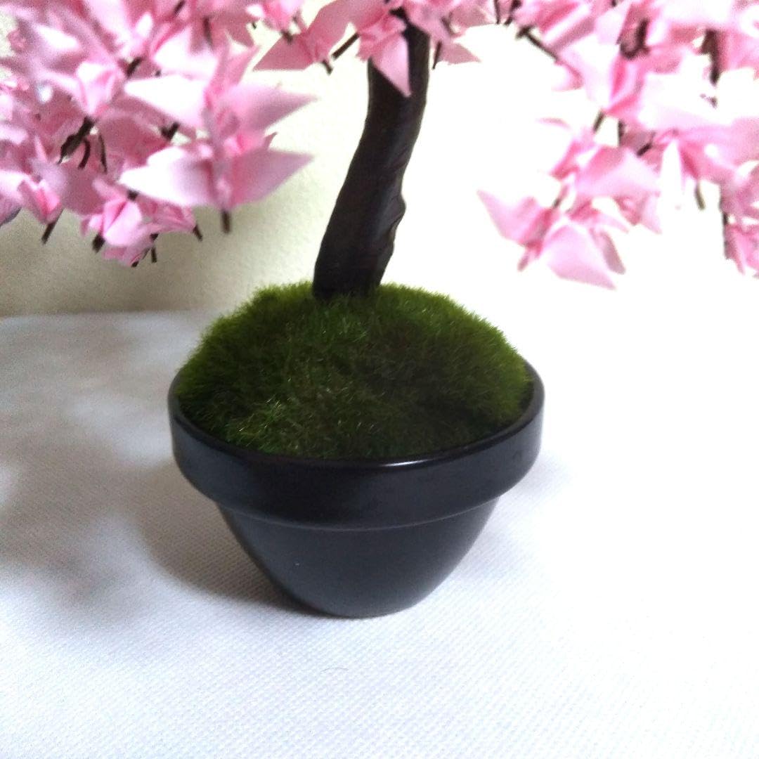 Amazon.co.jp: 折り鶴盆栽しだれ桜盆栽 : DIY・工具・ガーデン