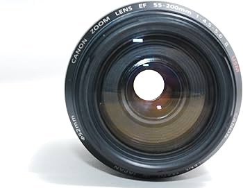 Amazon.co.jp: Canon EF レンズ 55-200mm F4.5-5.6II USM : 家電＆カメラ