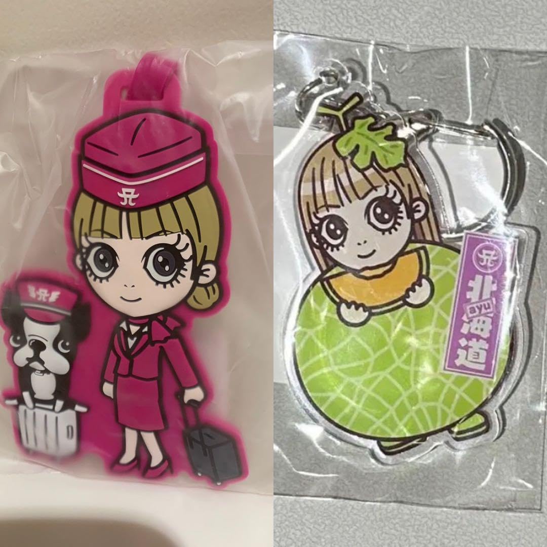 Amazon.co.jp: 浜崎あゆみ 北海道 ラゲッジタグ アクリルキーホルダー