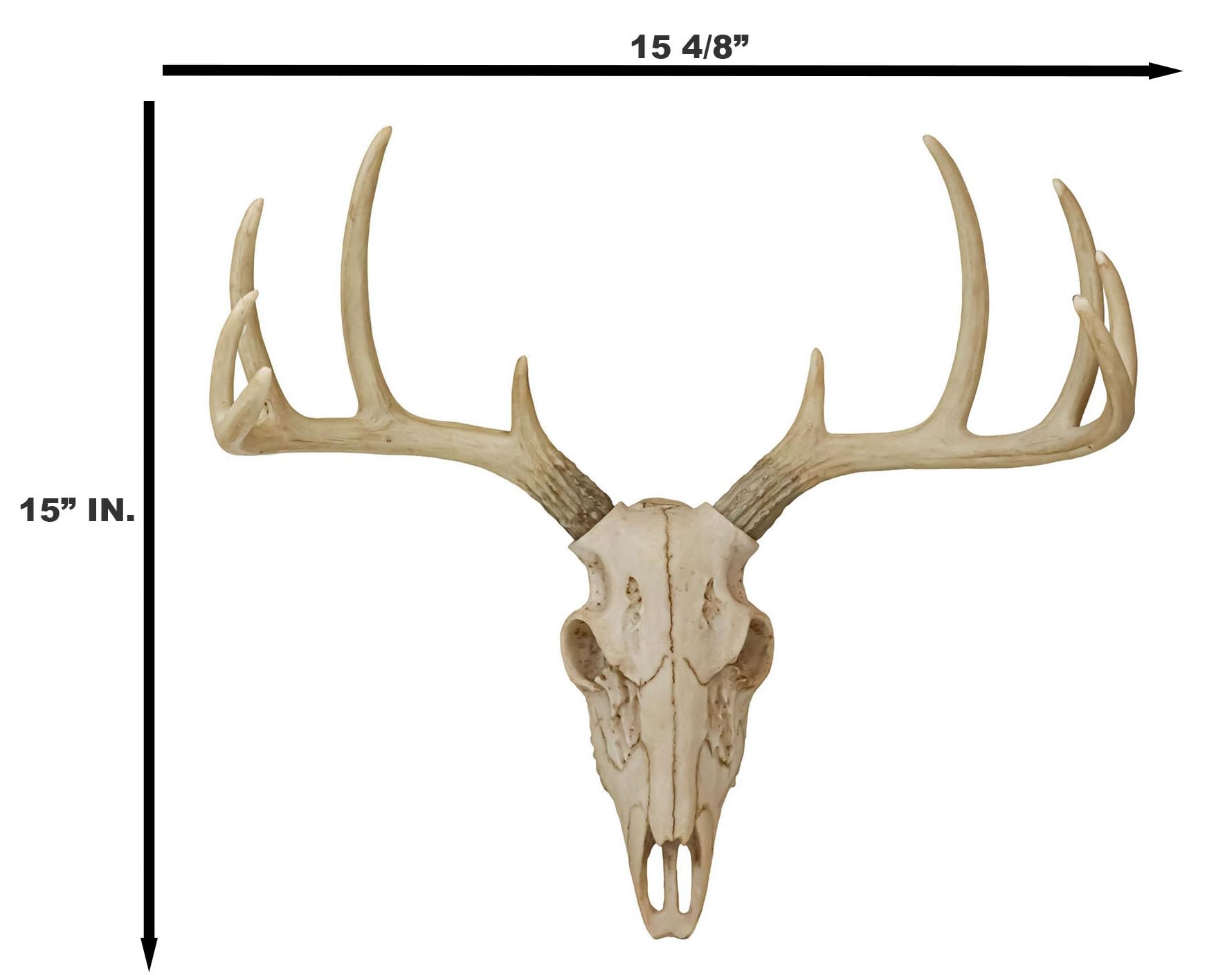 Amazon.co.jp: Ebros Gift 素朴なハンター鹿 10ポイント バックスカル