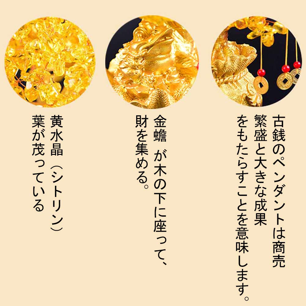 Amazon.co.jp: MYONEEN 招財樹 金のなる木 黄水晶 シトリン 風水