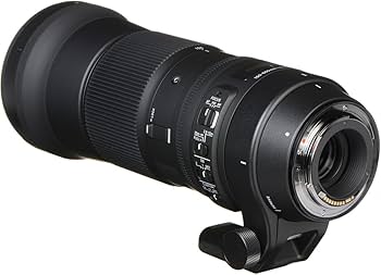 Amazon.co.jp: シグマ(Sigma) レンズ 150-600mm F5-6.3 DG OS HSM