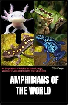 61LSuArP1-L._AC_UF350,