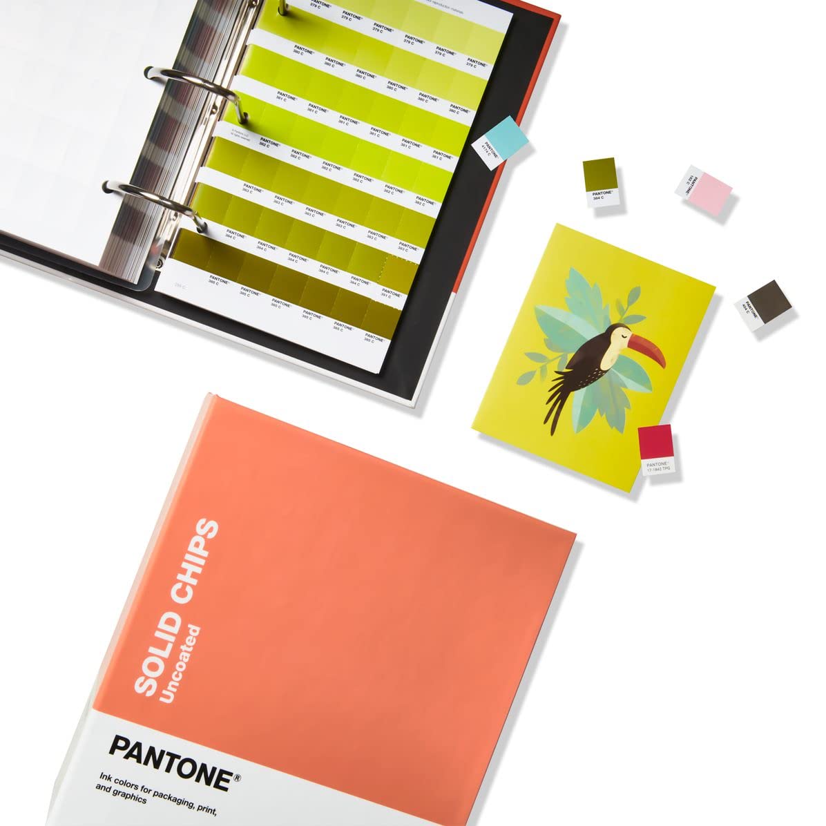 Amazon.co.jp: Pantone ソリッドチップ コーティング&コーティングなし