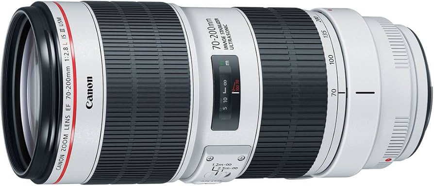 Amazon.com : Canon EF 70-200mm f2.8 L is III USM Telephoto Lens