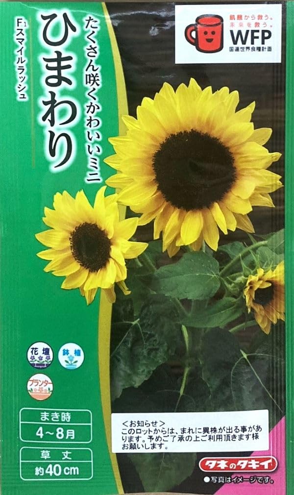 Amazon | タキイ種苗 花種 ひまわり F1スマイルラッシュ | 野菜