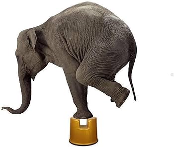 Amazon｜風呂椅子 介護風呂イス 介護椅子 スケベ椅子 お風呂椅子