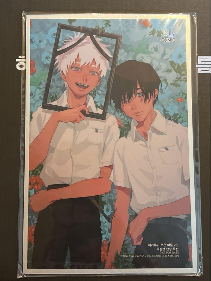 Amazon.co.jp: 光が死んだ夏 大判 イラスト色紙 ヒカル よしき 遺影