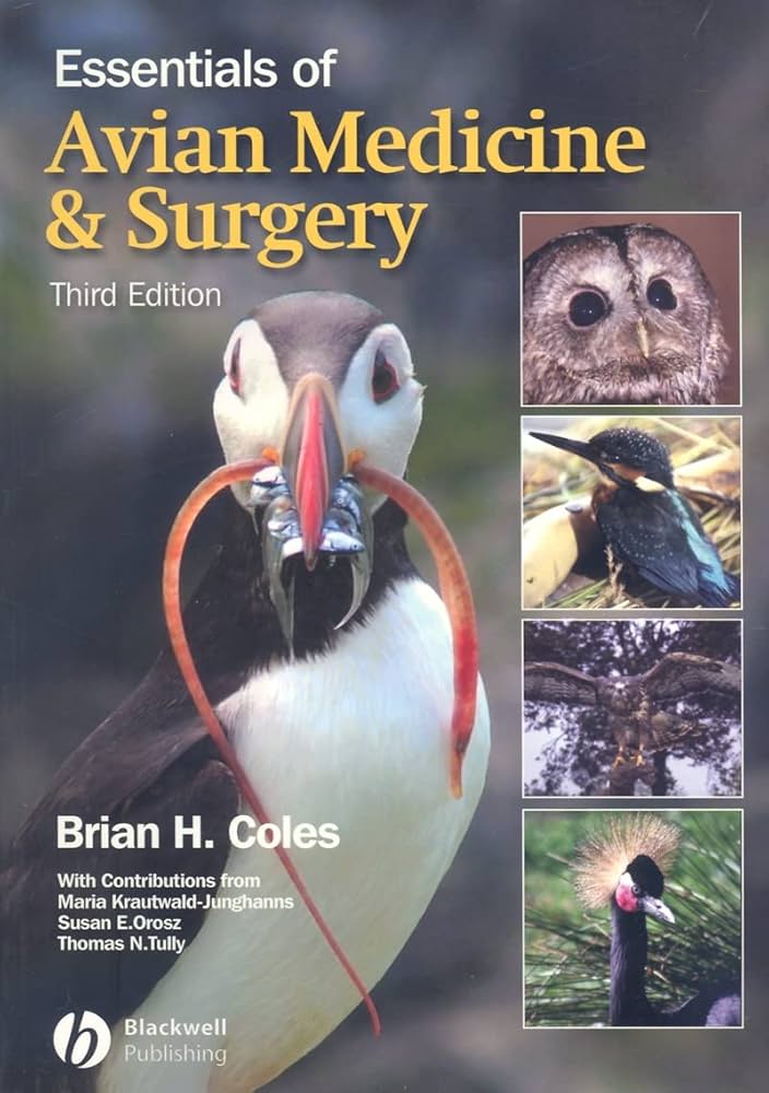 Essentials of Avian Medicine and Surgery: 9781405157551: Medicine