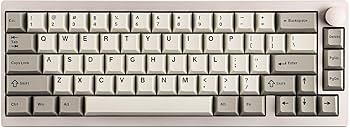 Amazon.com: EPOMAKER P65 QMK/VIA Wireless Aluminum Gaming Keyboard