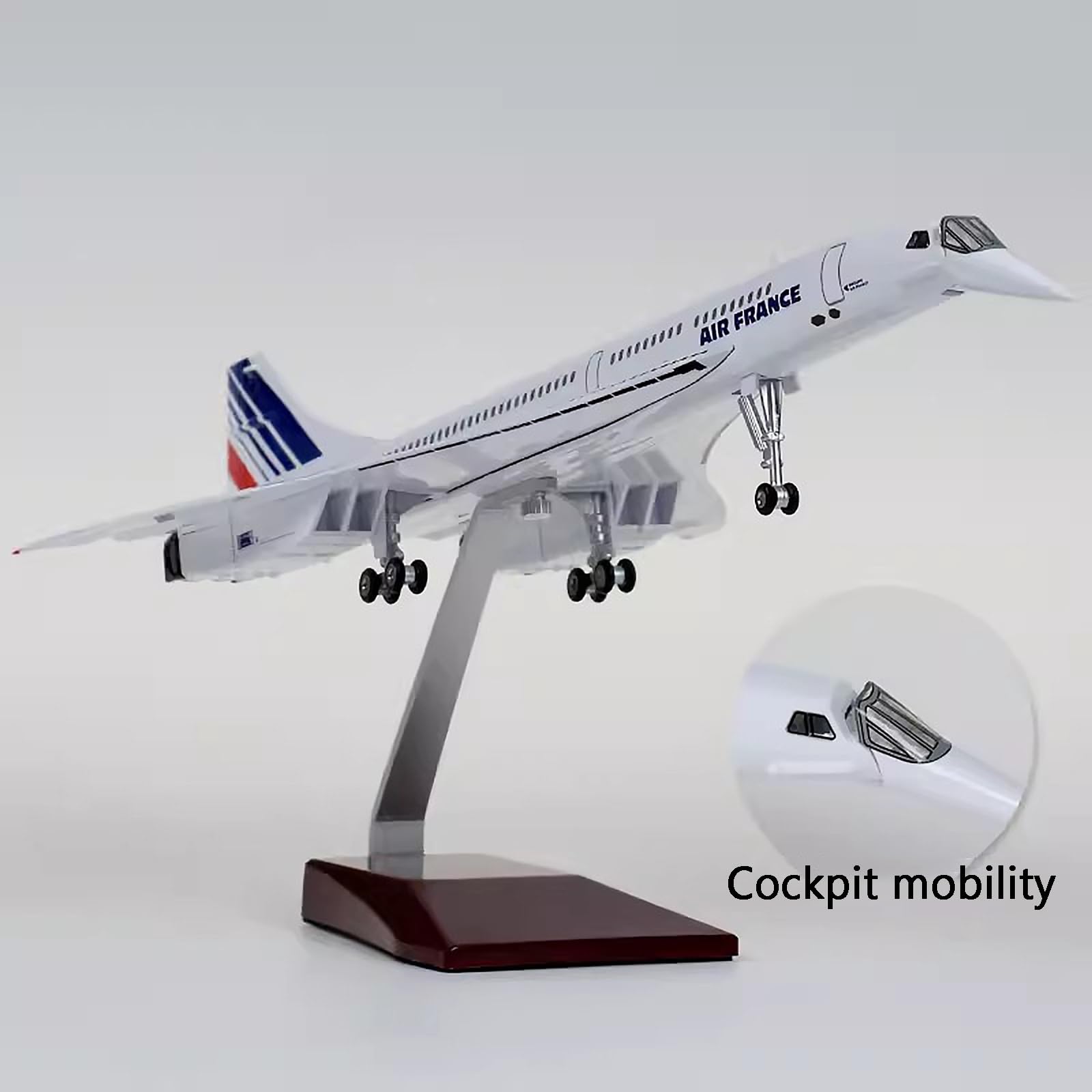 Amazon.co.jp: コンコルド 1:125 スケール 19.7 インチ 模擬完成品