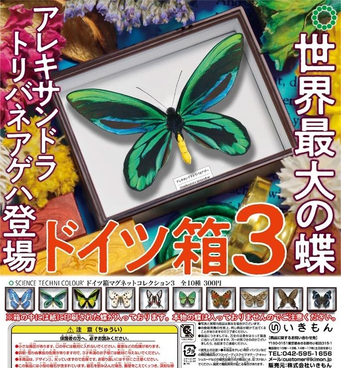 Amazon | ドイツ箱マグネットコレクション3 全10種セット モルフォ蝶