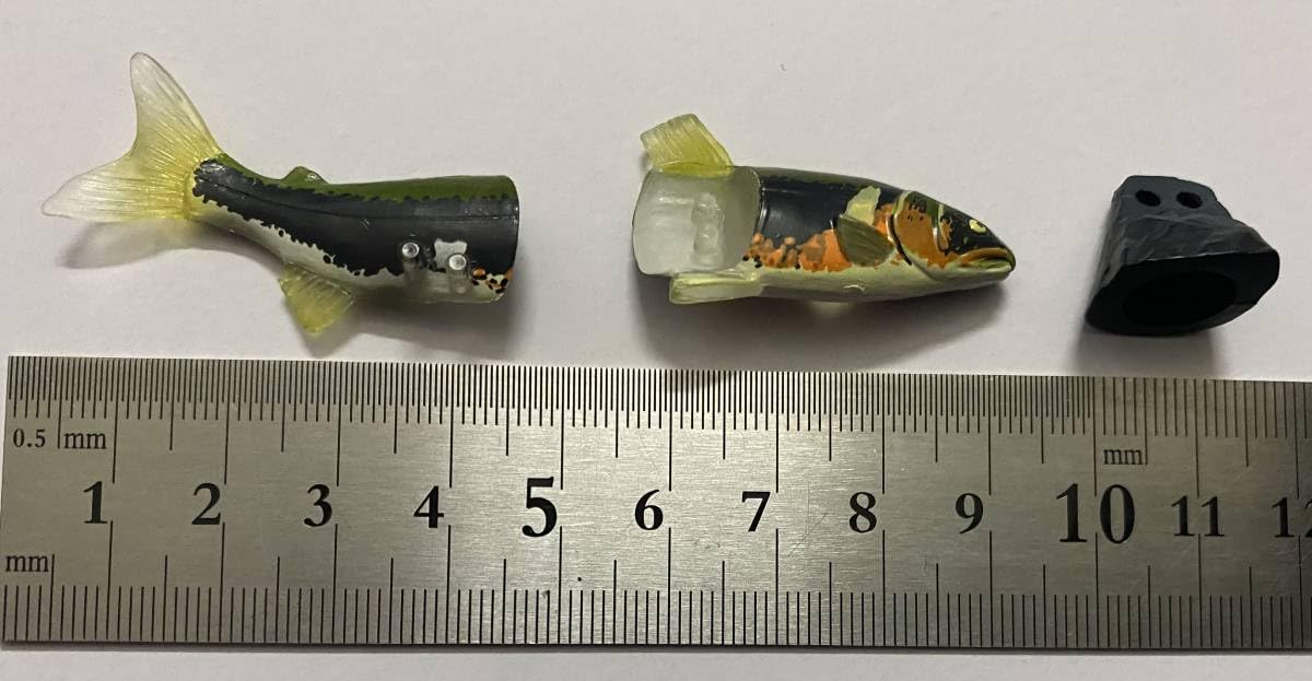 Amazon.co.jp: わがままな天然列島 大海原の群雄 R0001 アユ 婚姻色 鮎