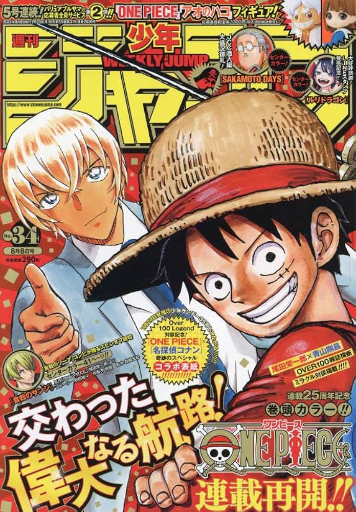 H*A様 週刊少年ジャンプ No.34 ONE PIECE オリジナル Amazon.co.jp