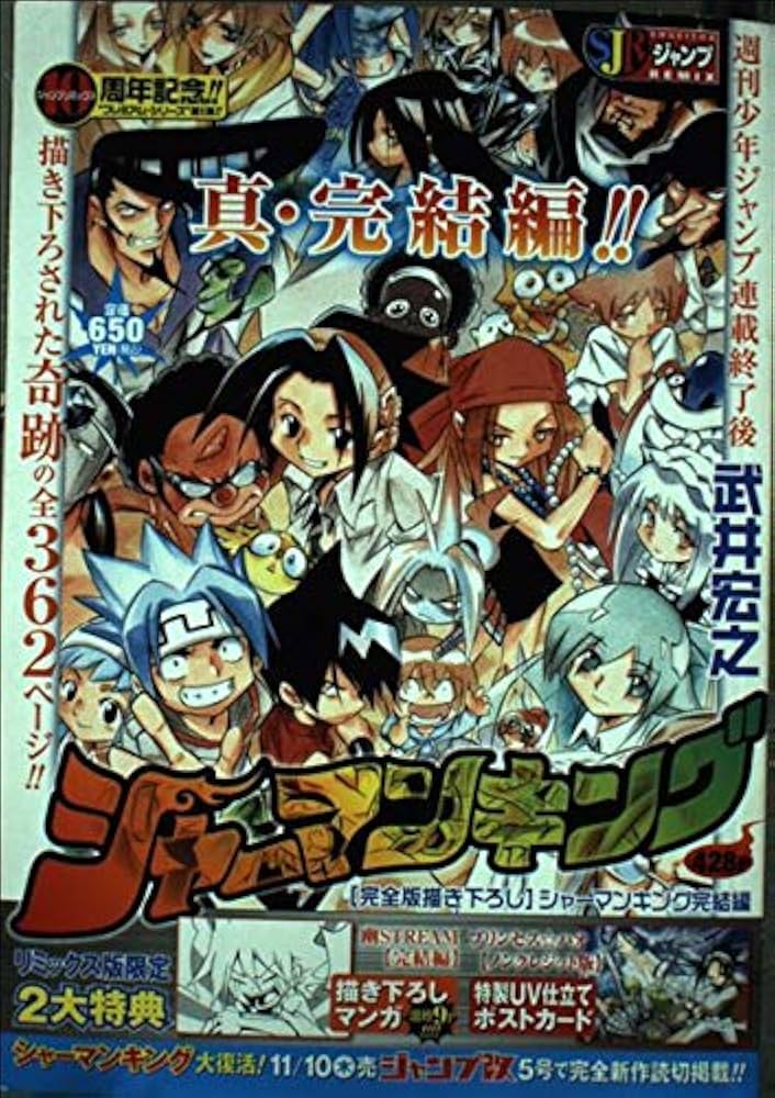 Amazon.co.jp: シャーマンキング/完全書き下ろしシャーマンキング完結