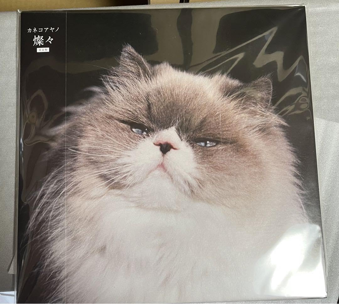 Amazon.co.jp: カネコアヤノ レコード 燦々 LP アルバム 重量盤 : おもちゃ