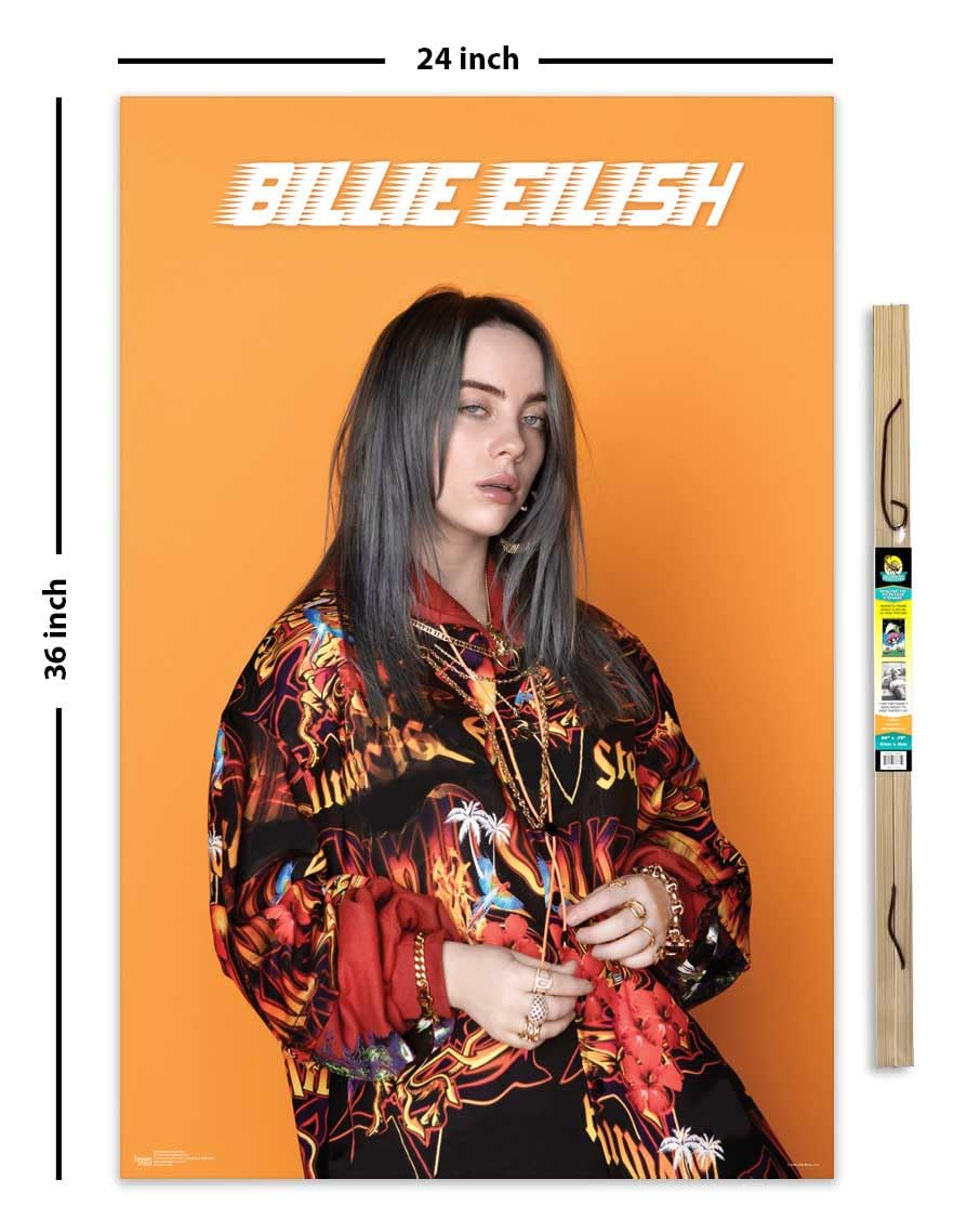 Amazon.com: Billie Eilish - Photo Poster - Officially Licensed