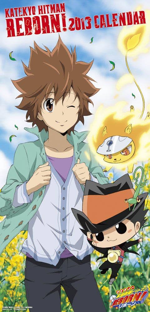 Amazon.co.jp: 家庭教師ヒットマンREBORN!(B) カレンダー2013年