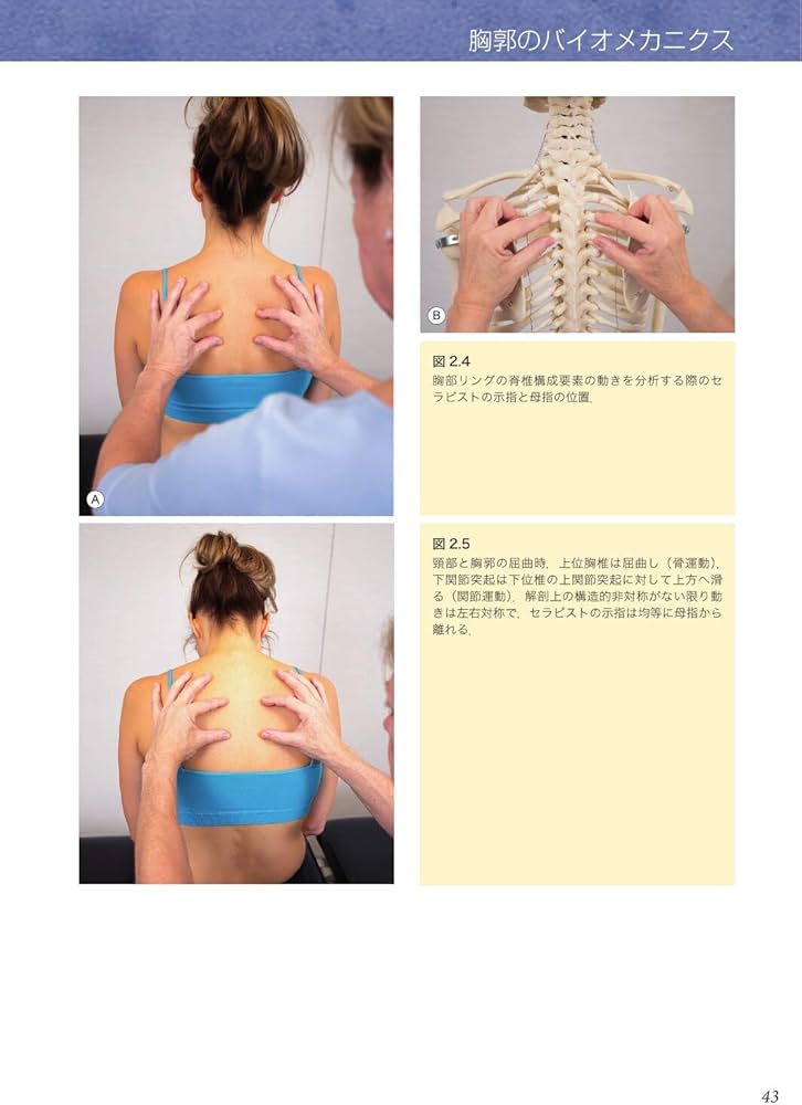 胸郭 統合アプローチ | Diane Lee, 石井 美和子 |本 | 通販 | Amazon