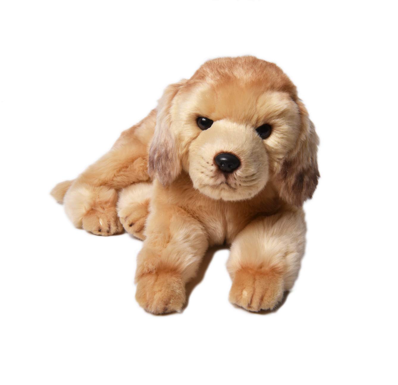 Amazon.co.jp: ゴールデンレトリバー ラブラドール レトリーバー 犬