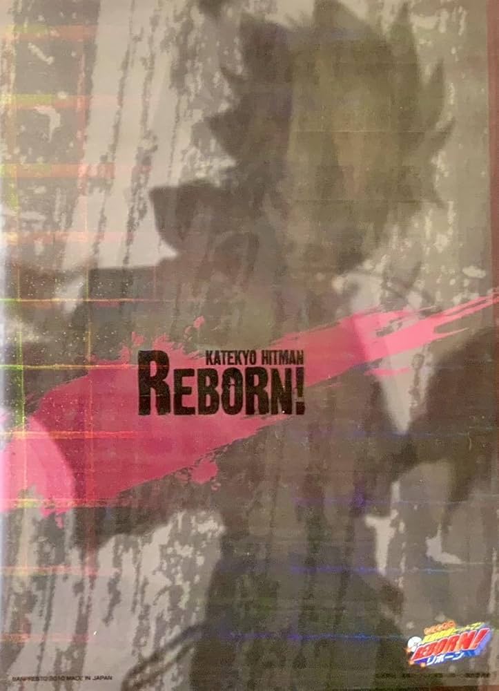 Amazon.co.jp: 家庭教師ヒットマンREBORN 沢田綱吉 クリアファイル