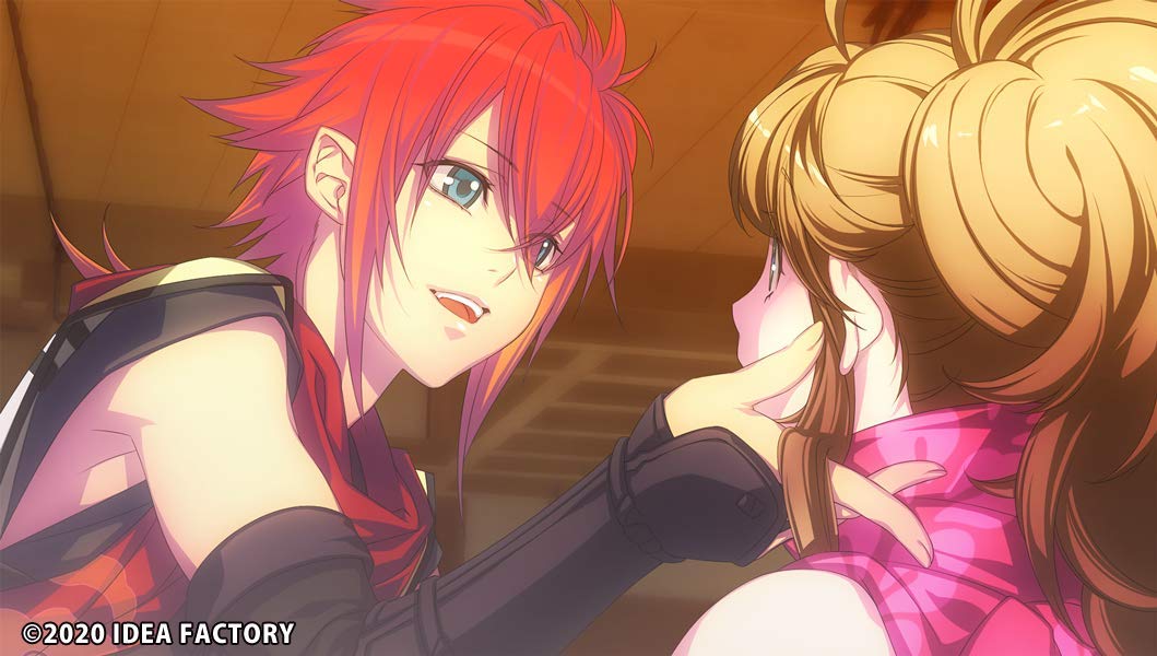 Amazon.co.jp: 忍び、恋うつつ for Nintendo Switch : ゲーム