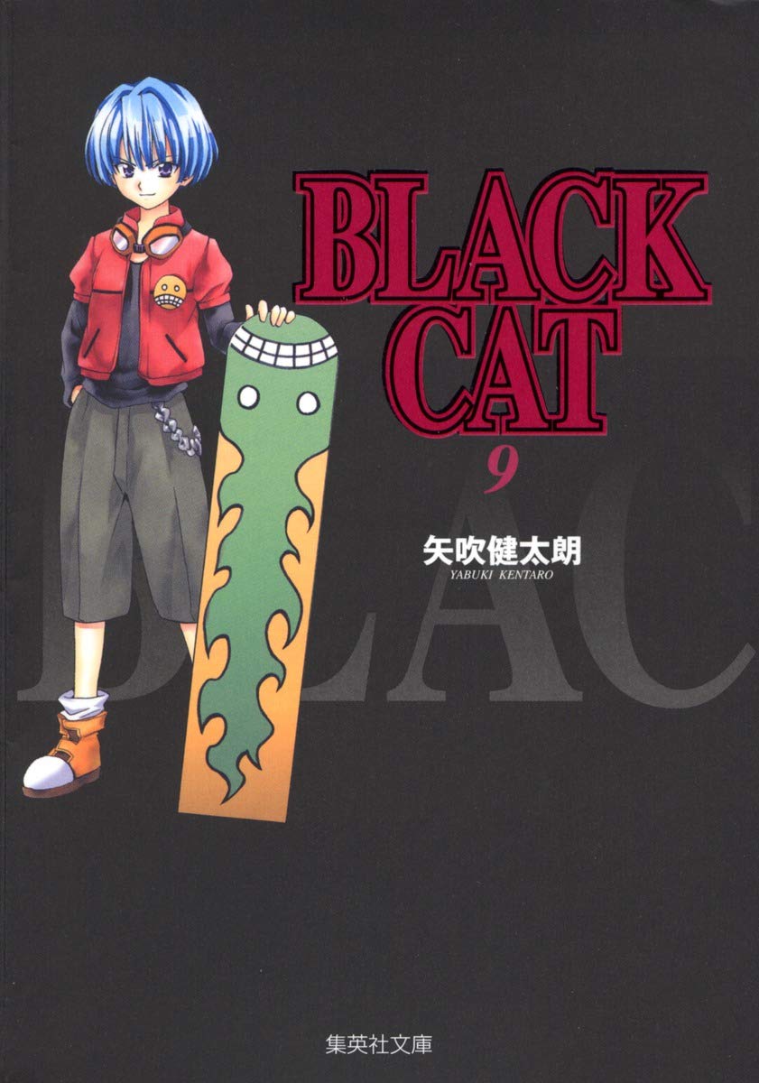 英語絵本 Early Reads - Black Cat - 29冊新品 英語絵本 Early Reads