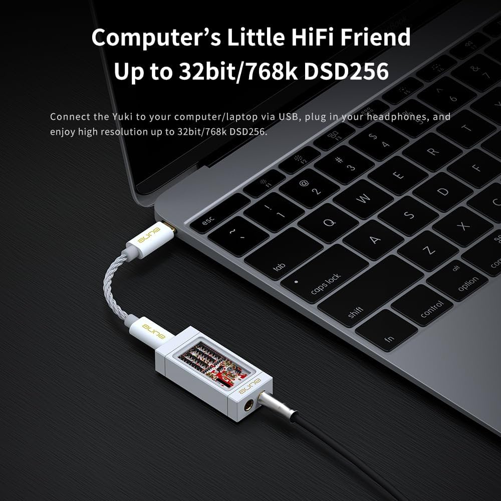 Amazon.co.jp: aune YukiポータブルDAC ヘッドホンアンプ付き、完全に