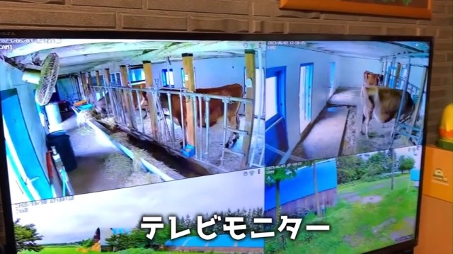 Amazon.co.jp: 【500万高画素夜間カラー・金属製】YESKAMOO 防犯カメラ