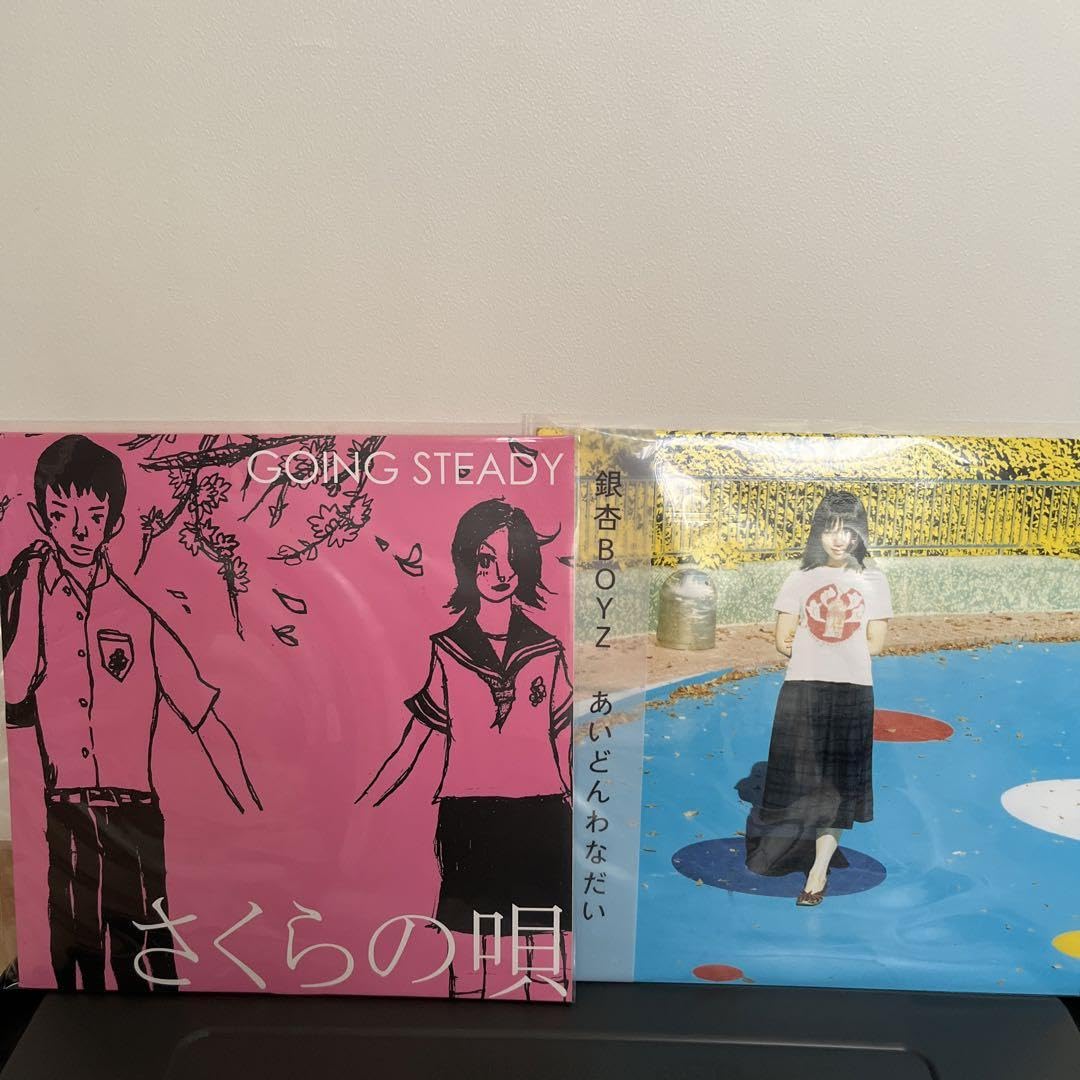 Amazon.co.jp: going steady 銀杏boyz レコード LP : おもちゃ
