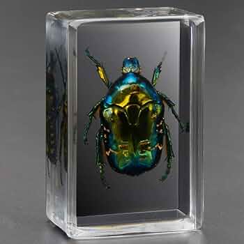 61Y0YDwixyL._AC_UF350,