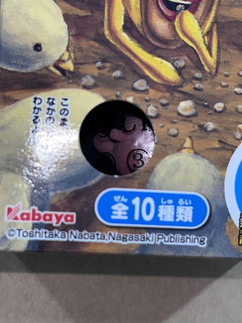 Amazon.co.jp: こびとづかん 飼育セット kabaya カクレモモジリ こびと