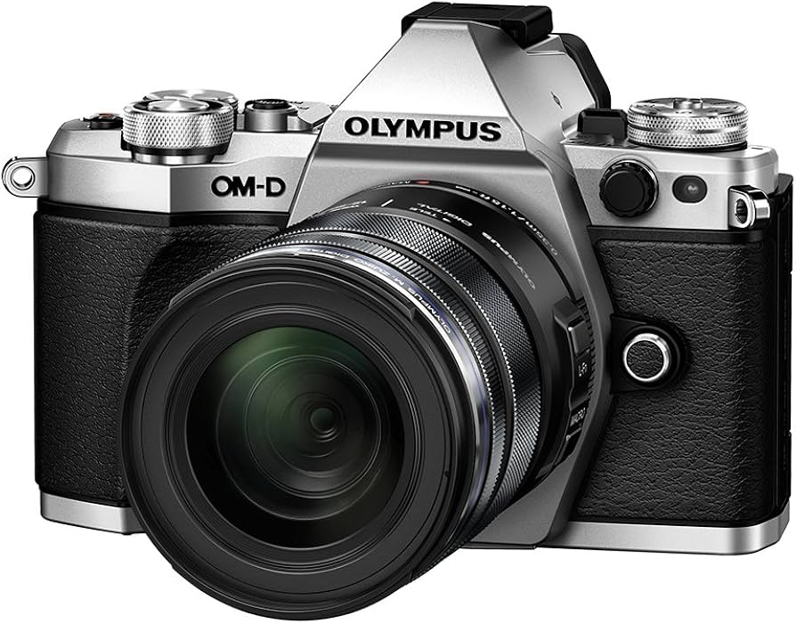 Amazon.com : Olympus E-M5 Mark II (Silver) with M.ZUIKO DIGITAL ED