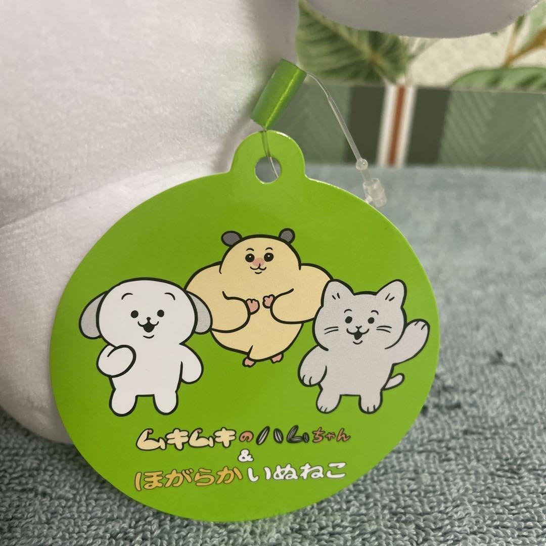 Amazon.co.jp: ムキムキのハムちゃん＆ほがらかいぬねこ BIGぬいぐるみ