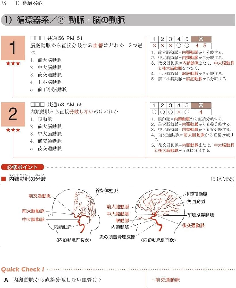 61aIVBwbonL._AC_UF1000,