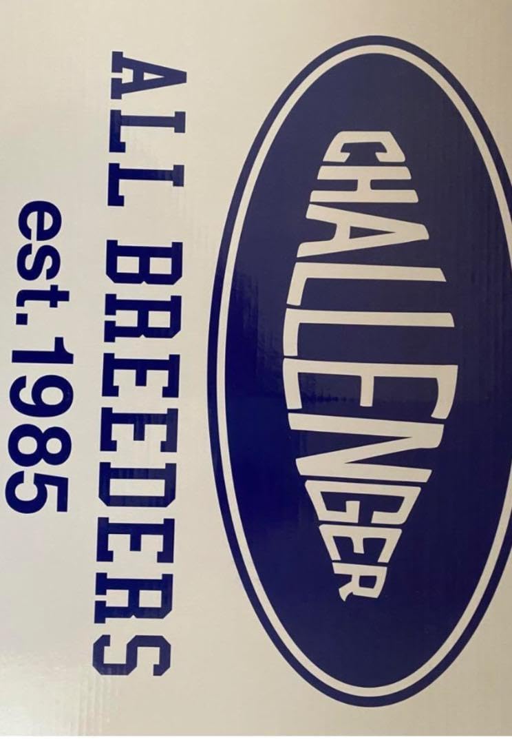 Amazon.co.jp: CHALLENGER チャレンジャー サインボード SIGNBOARD