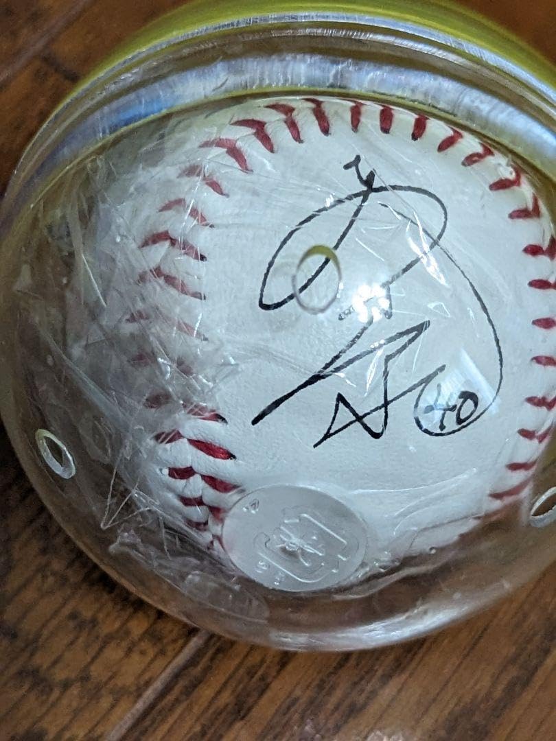 森山暁生中日ドラゴンズループレ直筆サインジャージナンバー