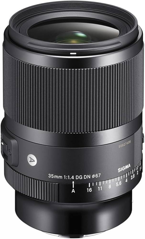 Amazon.com : Sigma 35mm F1.4 DG DN for L Mount : Electronics