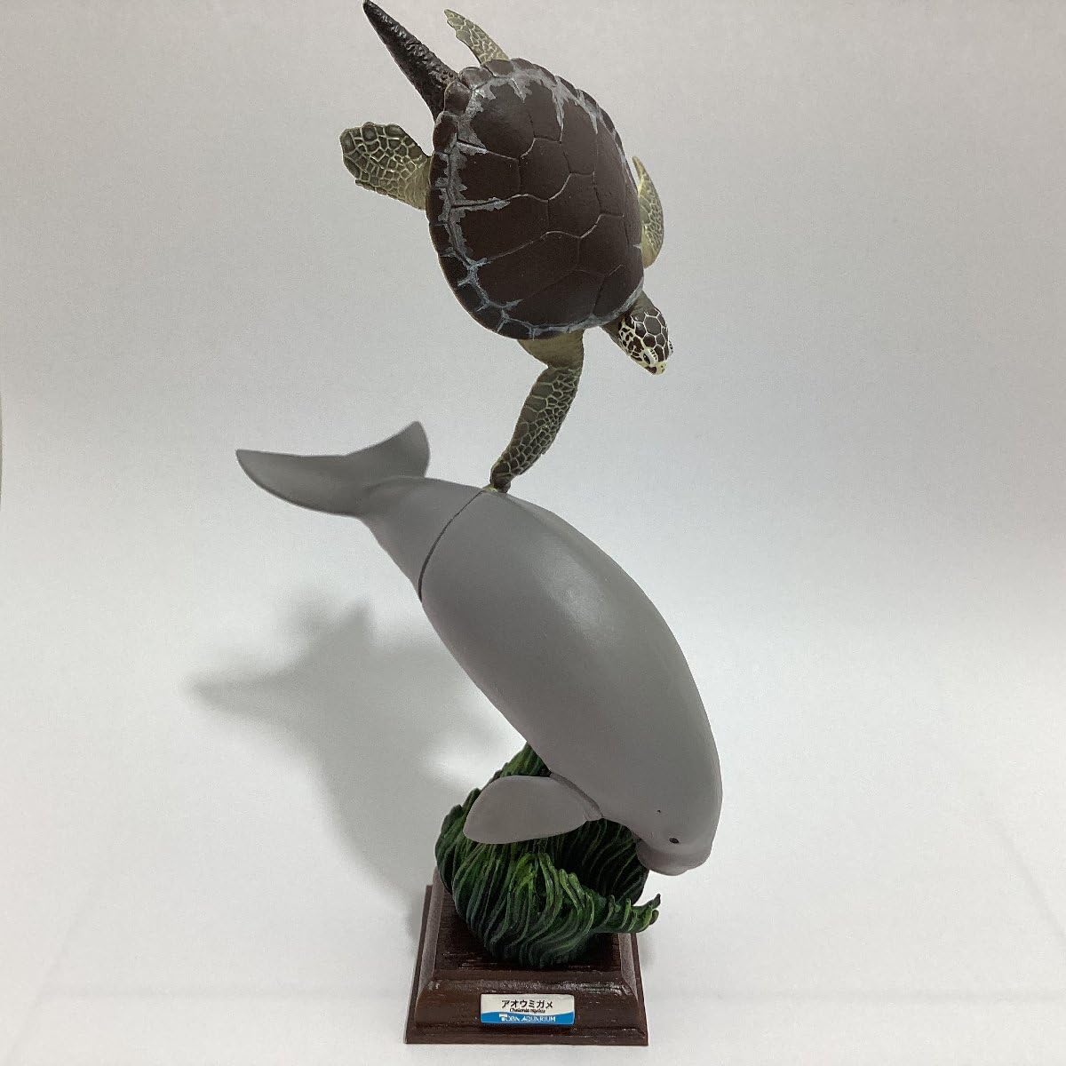 Amazon.co.jp: 奇譚クラブ ネイチャーテクニカラー 鳥羽水族館立体