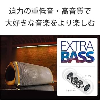 Amazon.co.jp: ソニー ワイヤレスポータブルスピーカー SRS-XB43
