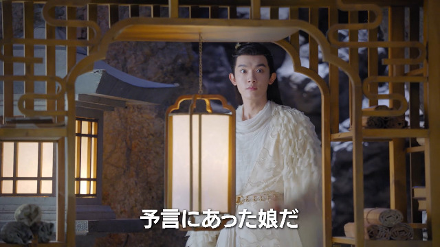 Amazon.co.jp: 玉骨遥(ぎょっこつよう) DVD-SET2 : シャオ・ジャン