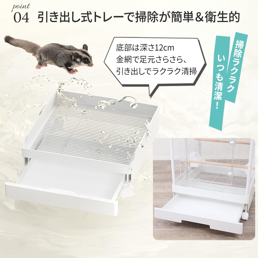 Amazon | フクロモモンガ アクリルケージ クリアフロント 590high