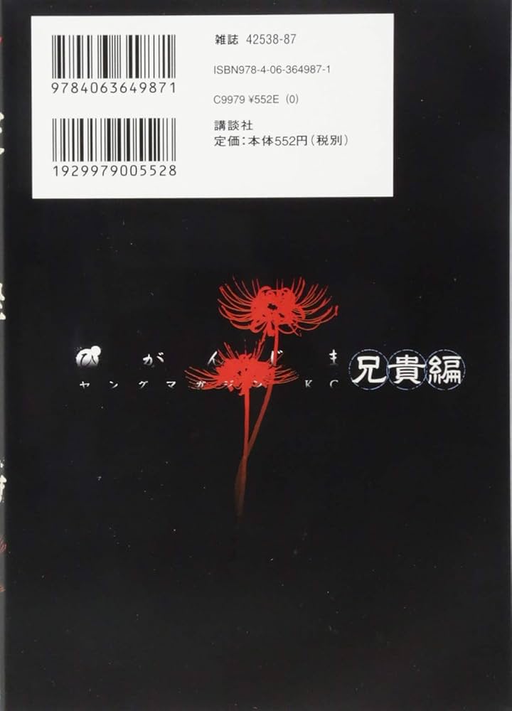 Amazon.co.jp: 彼岸島 兄貴編 (ヤングマガジンコミックス) : 松本 光司