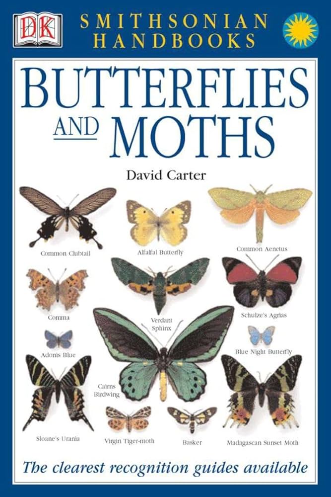 Butterflies & Moths: The Clearest Recognition Guide Available (DK