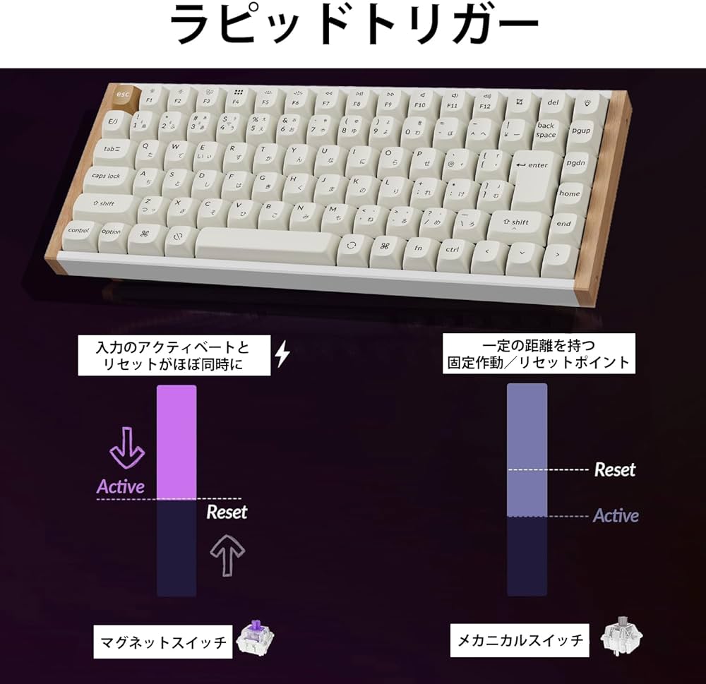 Amazon | 【国内正規品】Keychron K2 HE ラピッドトリガー ワイヤレス