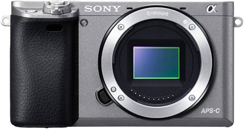 Amazon | SONY(ソニー) ミラーレス一眼 α6000 ボディ グラファイト