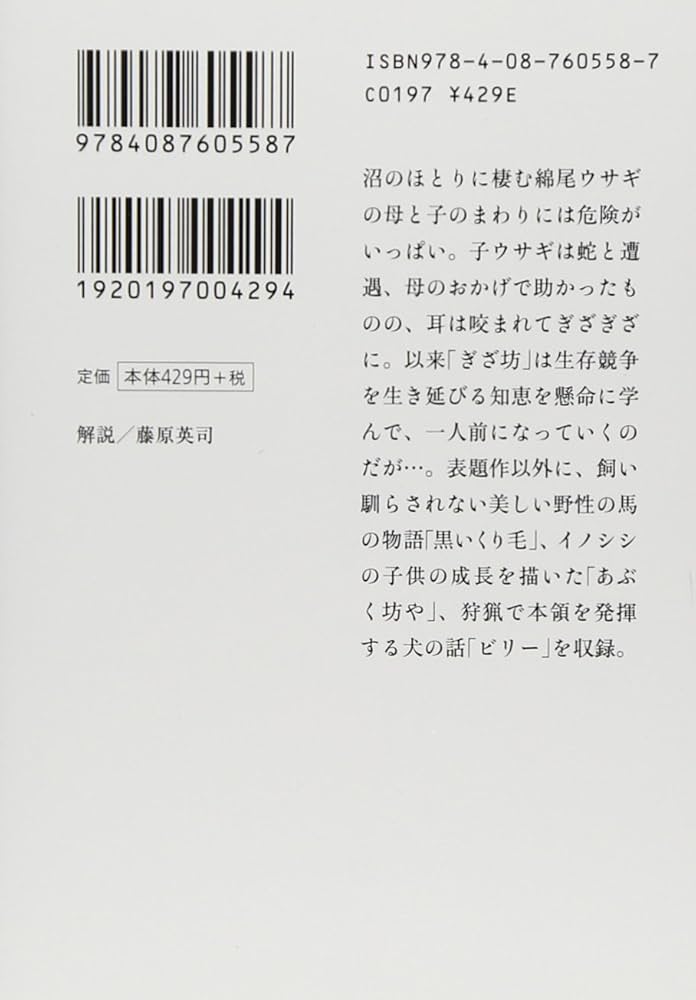 ぎざ耳ウサギの冒険 シートン動物記 (集英社文庫) | アーネスト・T