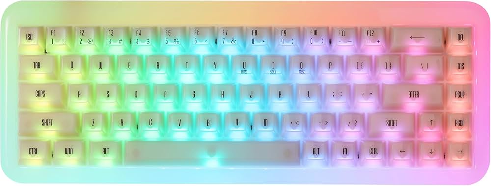 Amazon | Akko(アッコ) YU01 レジン製キーボード 65%英語配列 透明キー