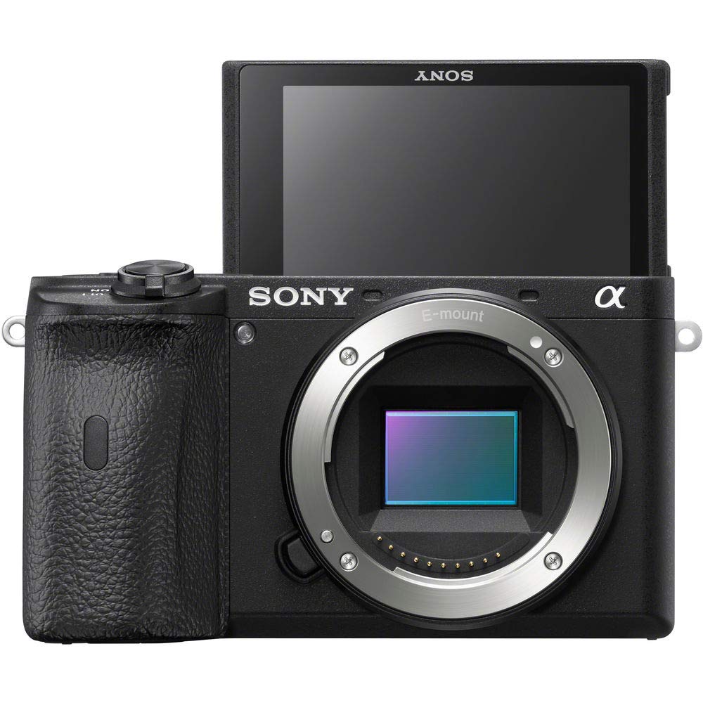 Amazon | ソニー SONY α6600 ミラーレス一眼カメラ 24.2MP 4K (本体