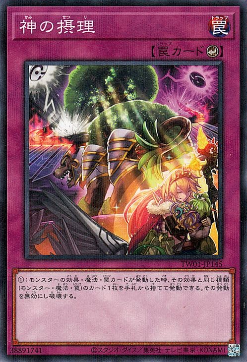 Amazon.co.jp: 遊戯王カード 神の摂理(ノーマルパラレル) TERMINAL